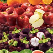 XPOSE Food - Scott Fruit